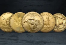 Chinese Gold Coins: A Guide to the Panda and Other Treasures