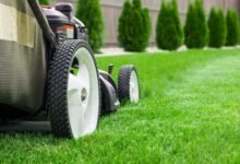 Lawn Maintenance Tips