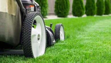 Lawn Maintenance Tips