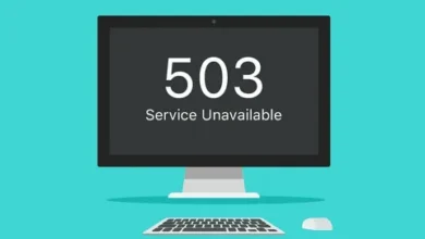 503 Service Temporarily Unavailable: What It Means and How to Fix It