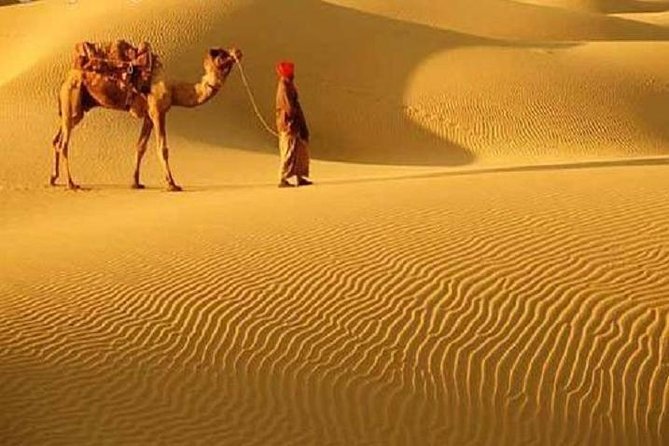 Experience the Thar Desert Like Royalty: A Rajasthan Travel Guide