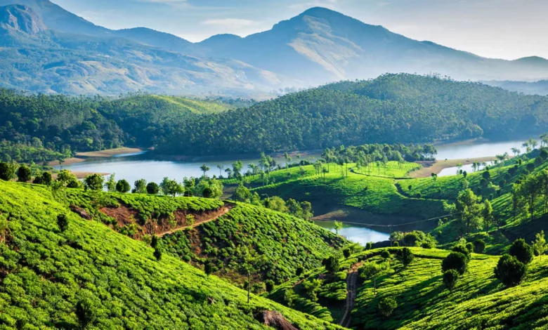 Kerala Wildlife Tours: A Journey Through the Western Ghats