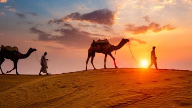Experience the Thar Desert Like Royalty: A Rajasthan Travel Guide