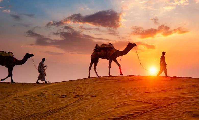 Experience the Thar Desert Like Royalty: A Rajasthan Travel Guide