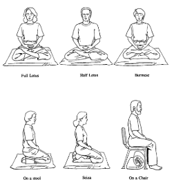 Meditation Poses