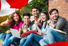 Achieve Global Success with Expert USA Education Consultants