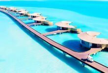 Best Road Trip Routes for a Memorable Domestic Holiday