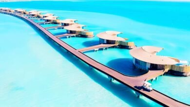 Best Road Trip Routes for a Memorable Domestic Holiday