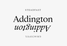 Best Serif Fonts for Books, Branding, and Editorials