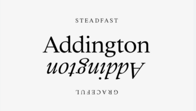 Best Serif Fonts for Books, Branding, and Editorials