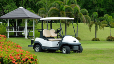 Choosing A Golf Cart That Fits Your Lifestyle And Travel Needs