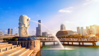 What Makes Flamingo Transworld’s Singapore Tours Truly Different from Regular Packages?