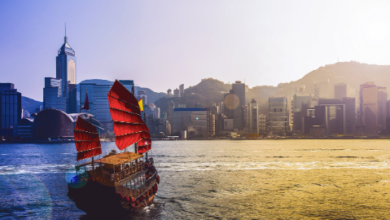 Exploring the Boating Market in Hong Kong: Opportunities and Insights
