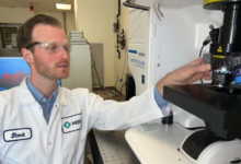 Advancements in Molecular Spectroscopy for Modern Laboratories