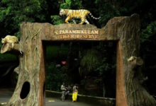 What are the most important tips that you need to know about choosing the best resorts in Pollachi for your trip?