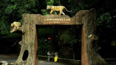 What are the most important tips that you need to know about choosing the best resorts in Pollachi for your trip?