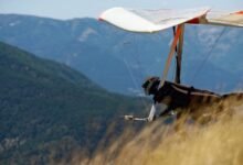 conversion planner horizon pulse