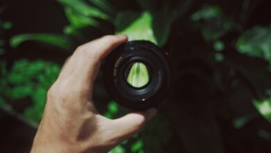 growth tracker and lens beacon