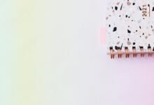 performance planner horizon lens