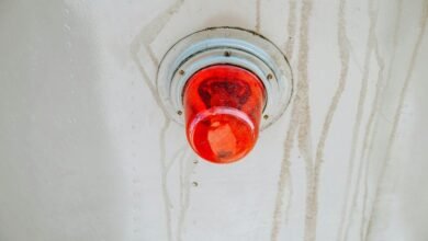 seo tracker beacon lens summary