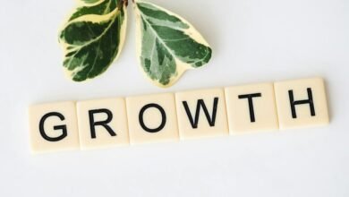 achieving milestones toward growth