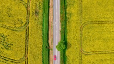 creative drive across transformative fields