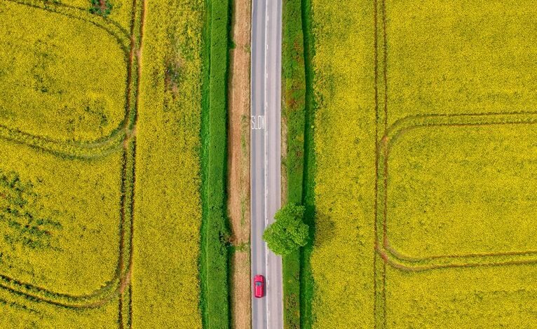 creative drive across transformative fields