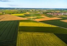 creative opportunities across transformative fields