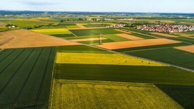 creative opportunities across transformative fields