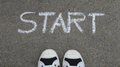 creative pathways begin across ventures