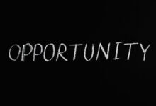 dynamic ideas across opportunities