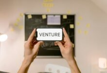 dynamic leadership across ventures