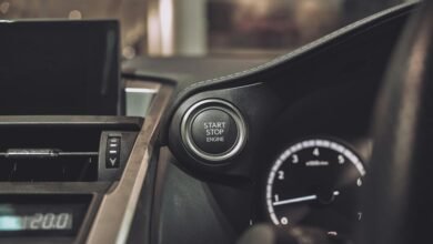 dynamic potential starts driving innovation