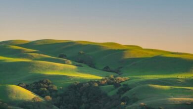 momentum insights across competitive landscapes