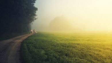 unlocking ideas across landscapes