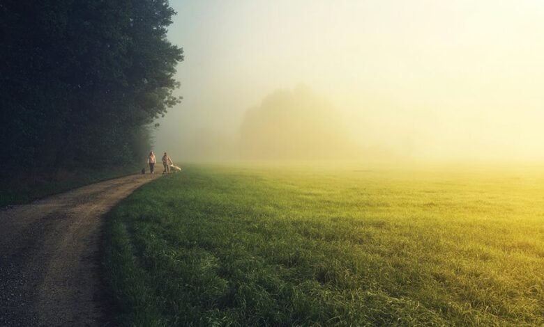 unlocking ideas across landscapes