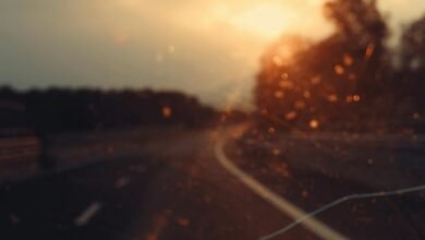 visionary drive across landscapes