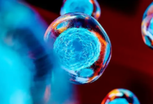 Stem Cell Interventions for Thalassemia