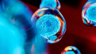 Stem Cell Interventions for Thalassemia