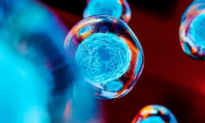Stem Cell Interventions for Thalassemia
