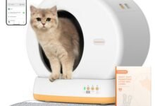 Healthy Cats Start Here: The Self-Cleaning Litter Box with Adjustable Settings