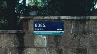 ip address lookup guide location